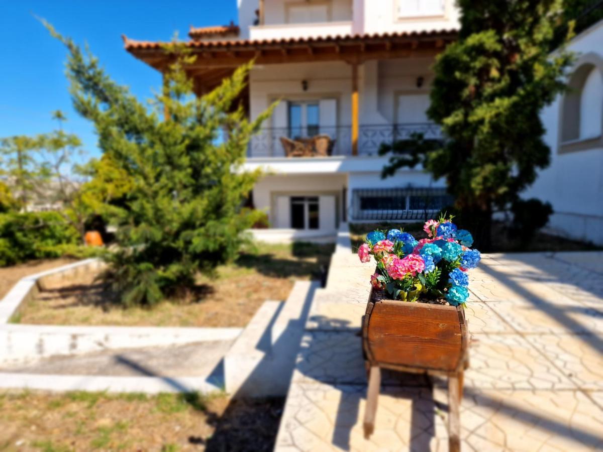 Villa Liana : Luxury Villa With Fantastic Sea View, Near Airport Πόρτο Ράφτη Εξωτερικό φωτογραφία