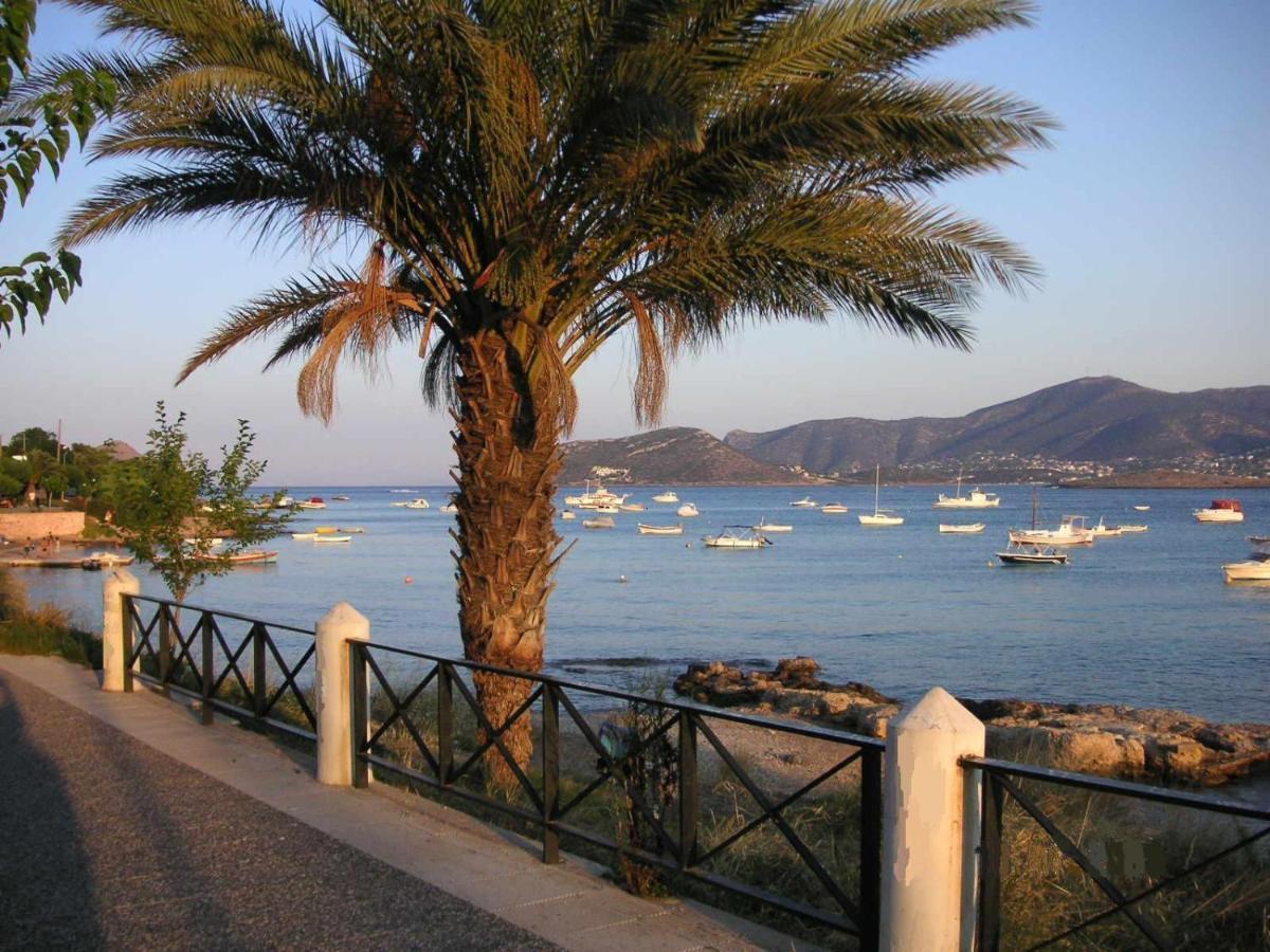 Villa Liana : Luxury Villa With Fantastic Sea View, Near Airport Πόρτο Ράφτη Εξωτερικό φωτογραφία